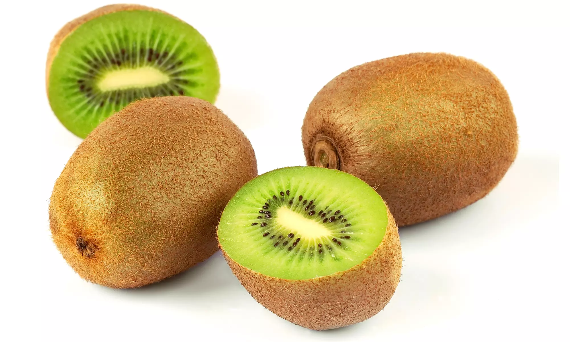 Kiwi Actinidia deliciosa "Jenny"