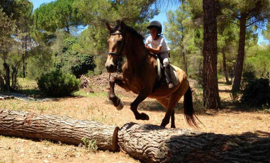 Image 5: ¡Aprende a montar a caballo como un pro en Centre Hípic Montserrat!