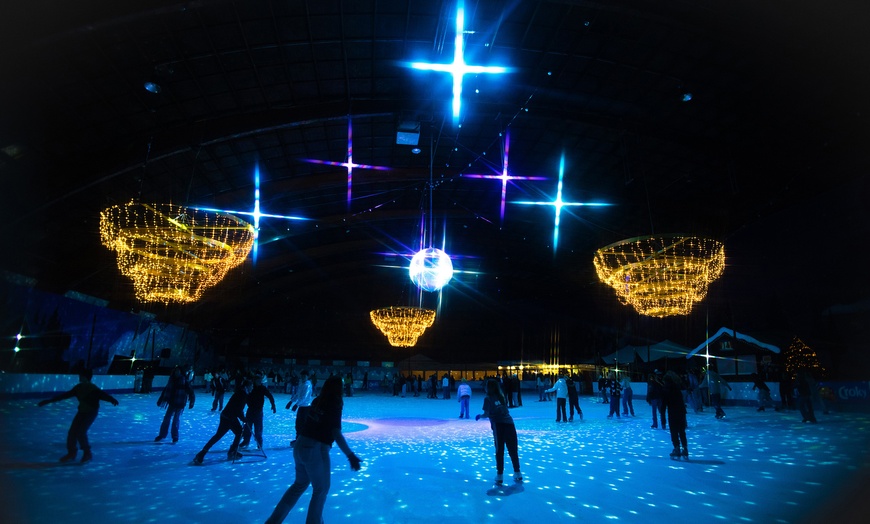 Image 4: Spectacles et attractions enchantés au Boudewijn Seapark