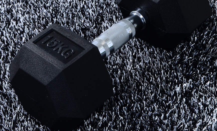 Image 44: Rubber Hexagonal Dumbbells