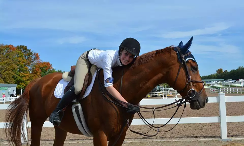 Four or Eight Private Horseback Riding Lessons at Forward Riding School (Up to 51% Off) - Primary Image