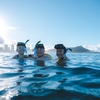 Image 8: Small Group Guided Turtle Snorkel in Waikiki (16-person max)