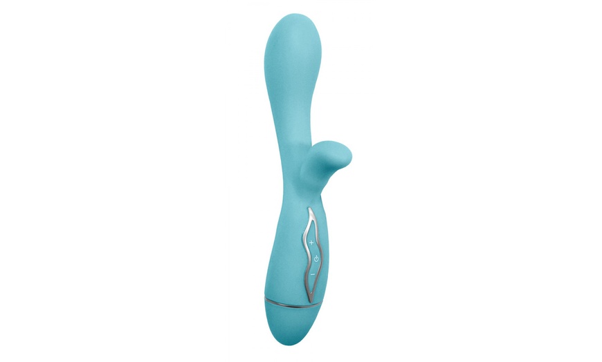 Image 18: Pasante Vibrators 