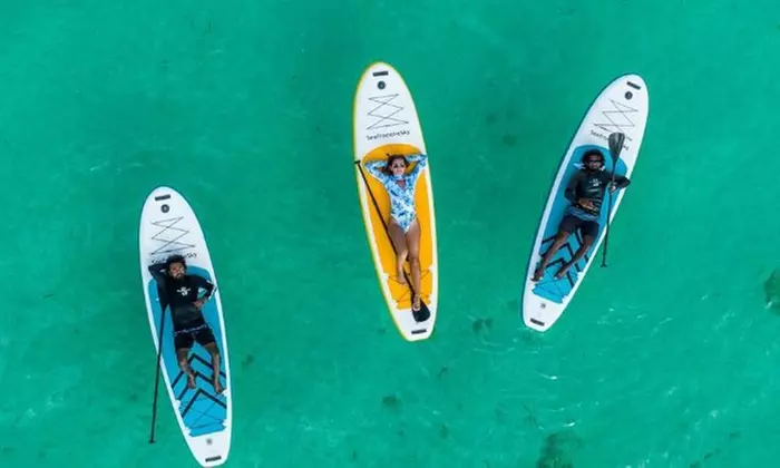 Experiencia de paddle surf de 1 hora