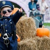 Image 5: Haunted Trail: Adult, Child/Family Ticket on 26th, 27th or 31st Oct'25