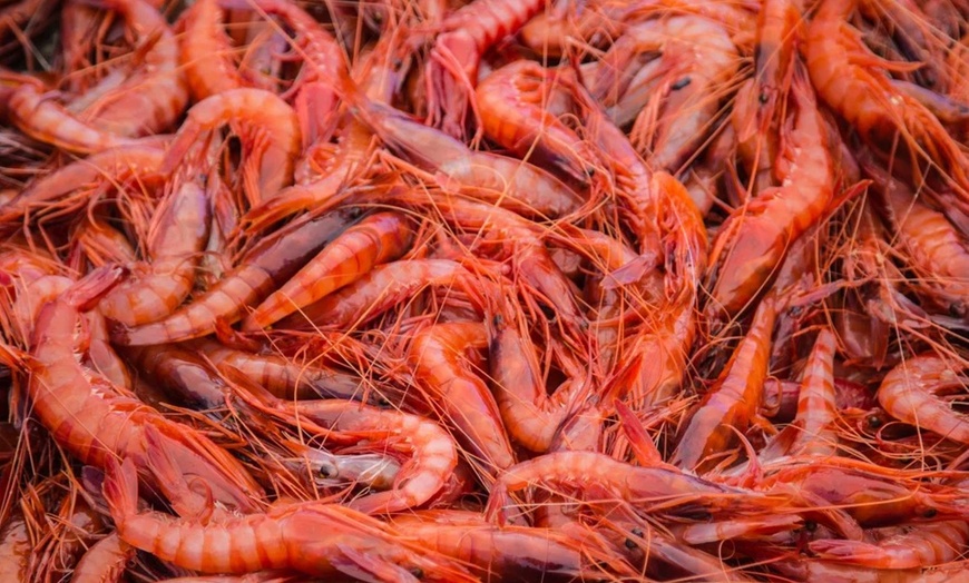 Image 9: ✈ Barcelona & Costa Brava: 8-Day Road Trip w/ Air & Hotel from Worldee