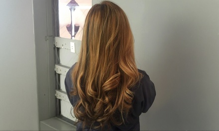 Basic Hair Color (Retouch) - Hair By Terrell / Primary Blow Dry Bar