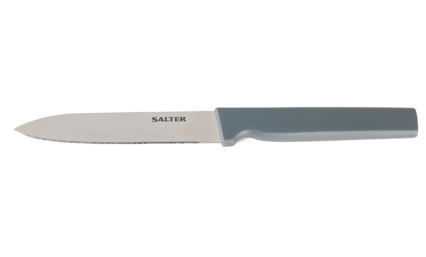 Image 14: 14-Piece Salter Knife Set