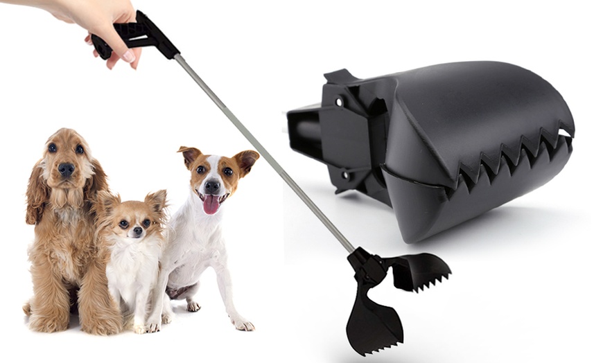 Image 2: Pet Dirt Picker