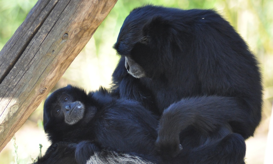 Image 13: Zoo de Fréjus : les animaux comme vous ne les avez jamais vus !