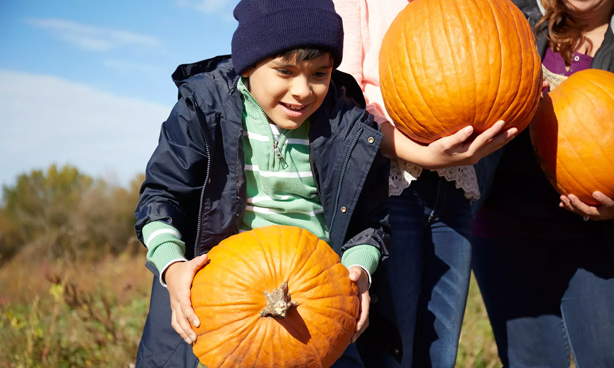 Admissions to Pumpkin Patch Harvest Festival at Pinehaven Farm (Up to 40% Off). Four Options Available. - Primary Image