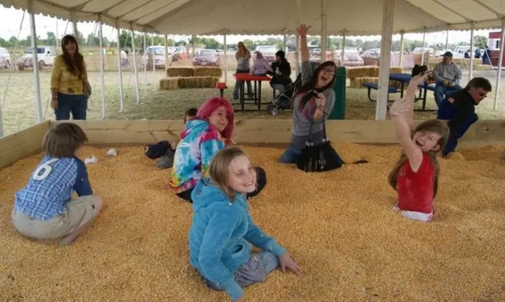 Family Farm Fun with Corn Maze, Pumpkin Patch, Hay Rides & More