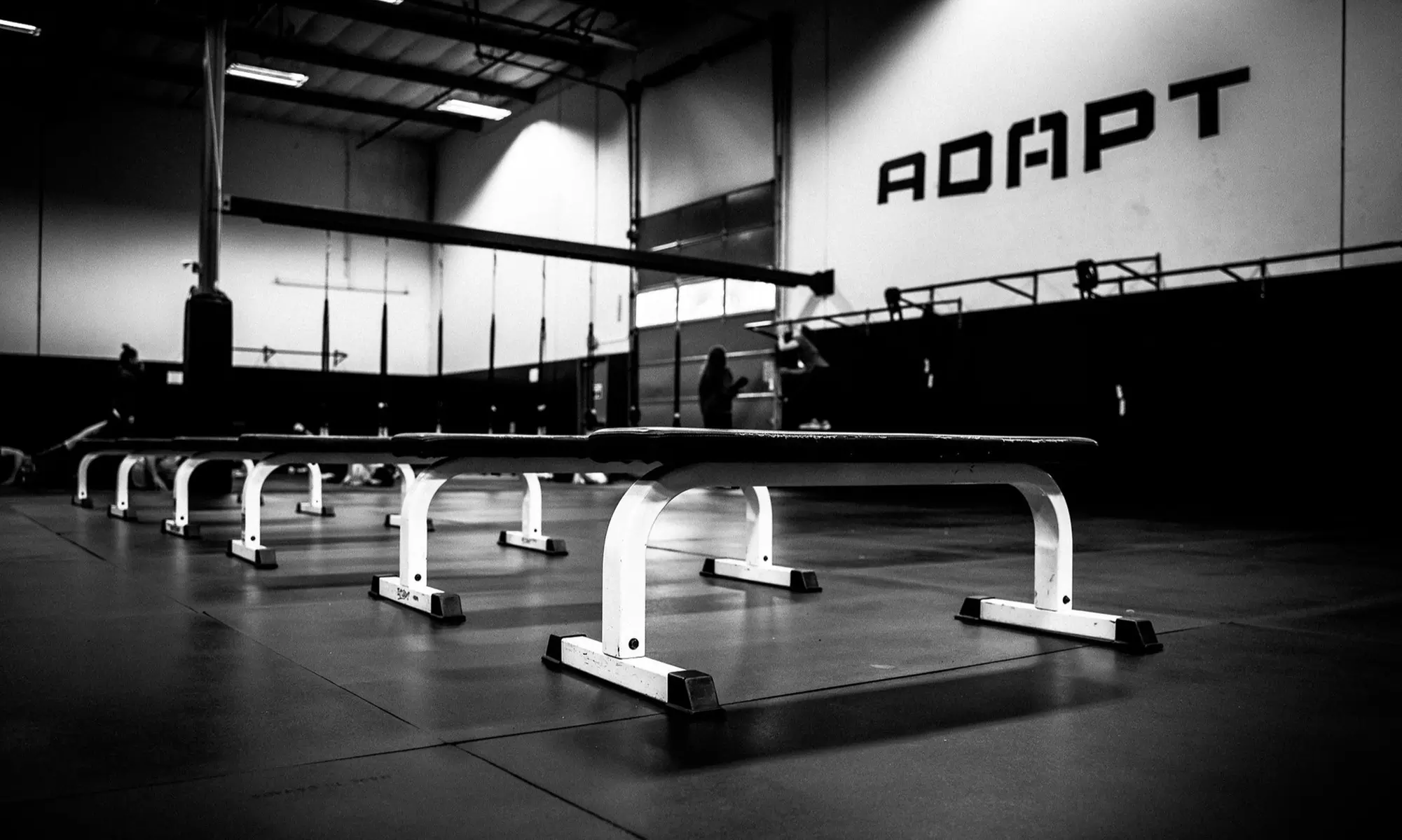 $149 for 14-Day Jumpstart Fitness Program from ADAPT Training ($440 Value) - Second Medium