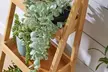 Bamboo Three Tier Ladder Plant Stand - Image 4