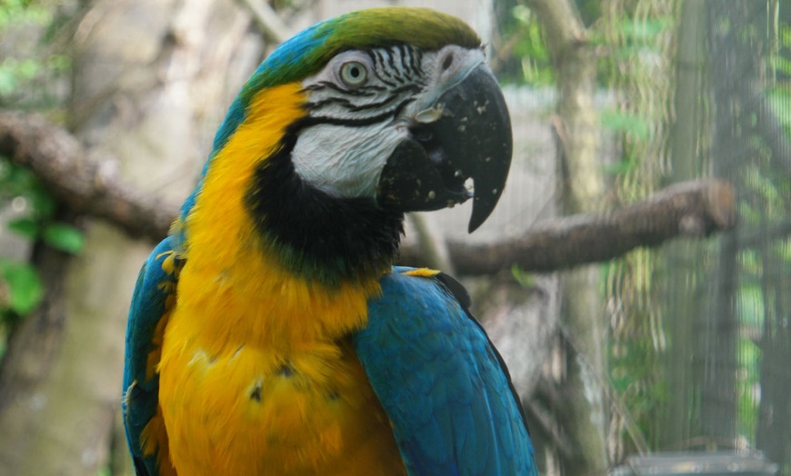 Image 3: Tageskarte Tierpark Leintalzoo