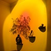 Image 7: Up to 40% Off on Massage at Mattina Massage And Spa