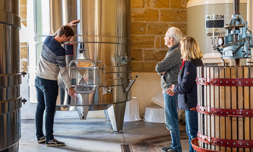 Image 3: Session de 2h d'initiation à la dégustation du vin avec Oeno' Lesson