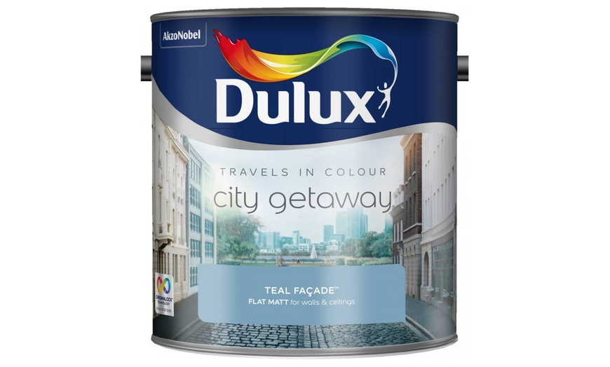 Image 4: Dulux Matt Paint