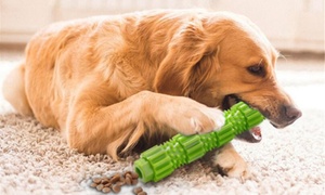 Dog's Chew Moral Rod Toy