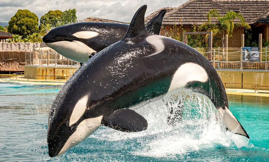 Image 10: Entrée au parc Marineland