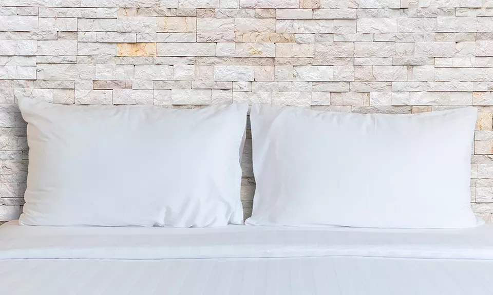 Pack de 2 o 4 almohadas de fibra hueca siliconada - Primary Image