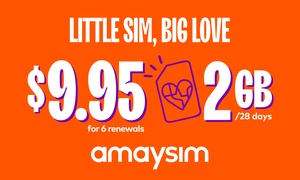 amaysim 6 x 2GB 28-Day Renewals