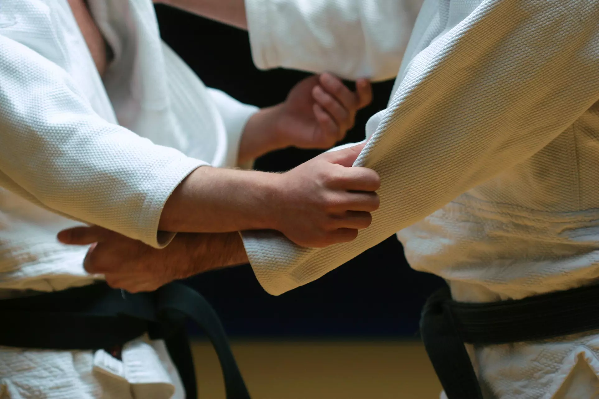 67% Off Martial Arts / Karate / MMA - Primary Image