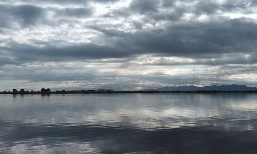 Image 17: ¡Descubre la magia de la Albufera en barca!