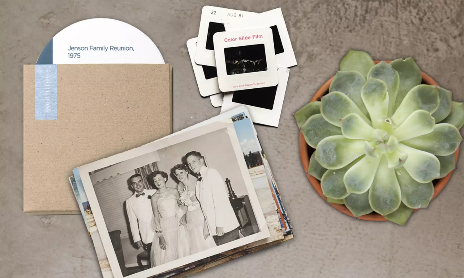 Up to 60% Off Videotape-to-DVD Transfer from Southtree