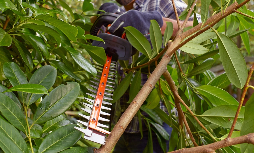 Image 25: Black and Decker Garden Bundle