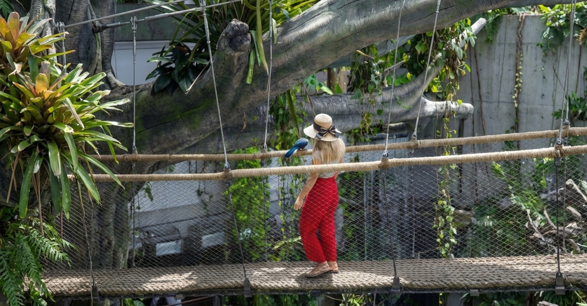 The Green Planet Dubai Tickets – Indoor Rainforest Experience The Green Planet Dubai Tickets – Indoor Rainforest Experience