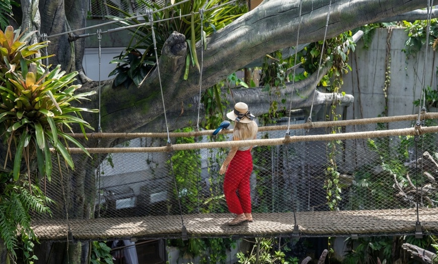 Image 7: The Green Planet Dubai Tickets – Indoor Rainforest Experience
