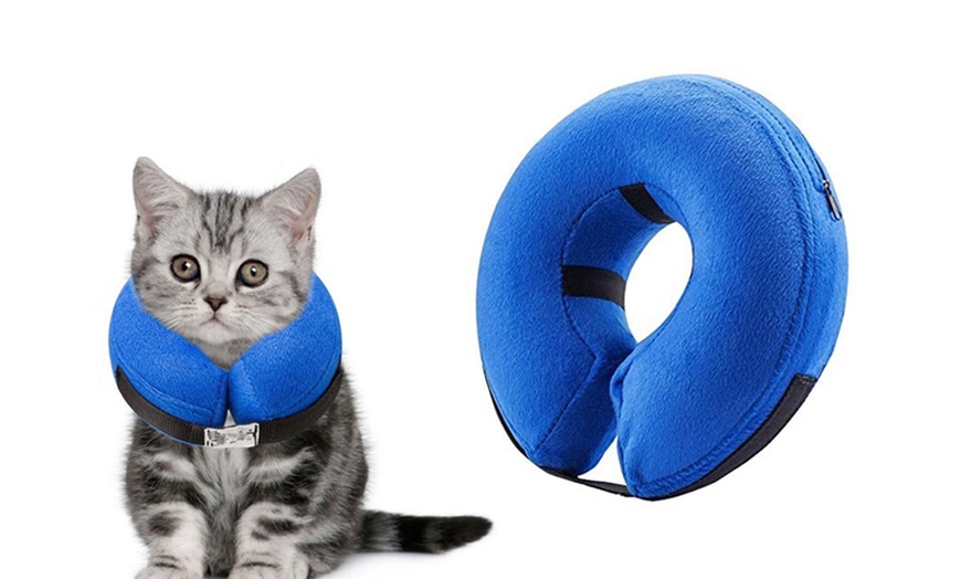 Inflatable cat cheap collar