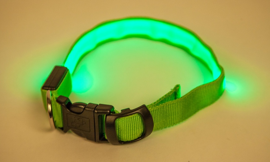 Image 6: LED Dog Collars