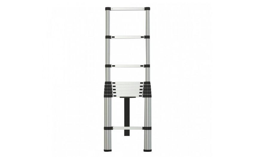 Image 4: Herzberg uitschuifbare ladder