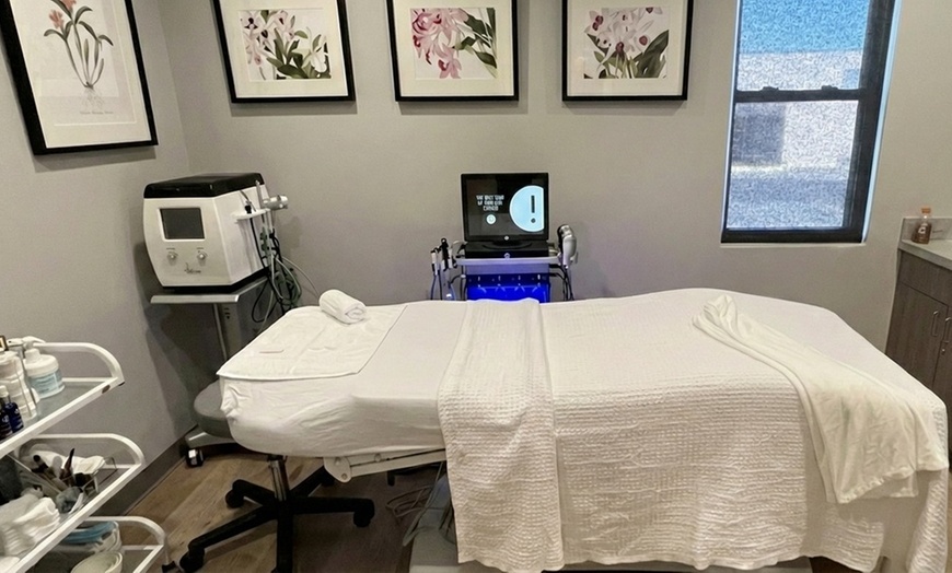 Image 2: One or Two 60-Minute Hydration Boost Facial Sessions