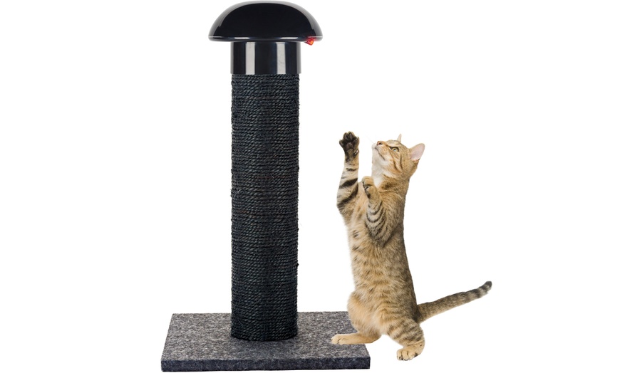 laser scratching post