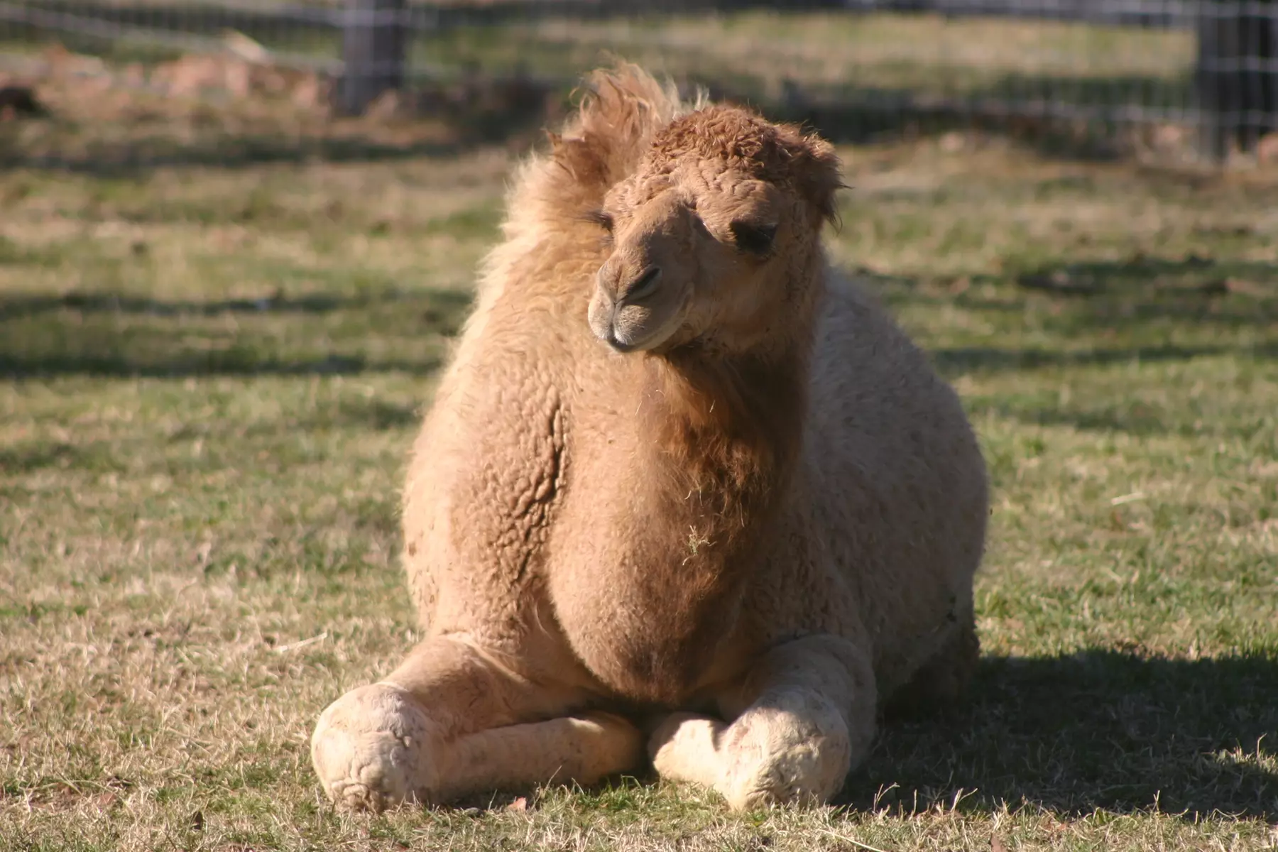 Up to 47% Off Admissions to Two by Two Petting Zoo