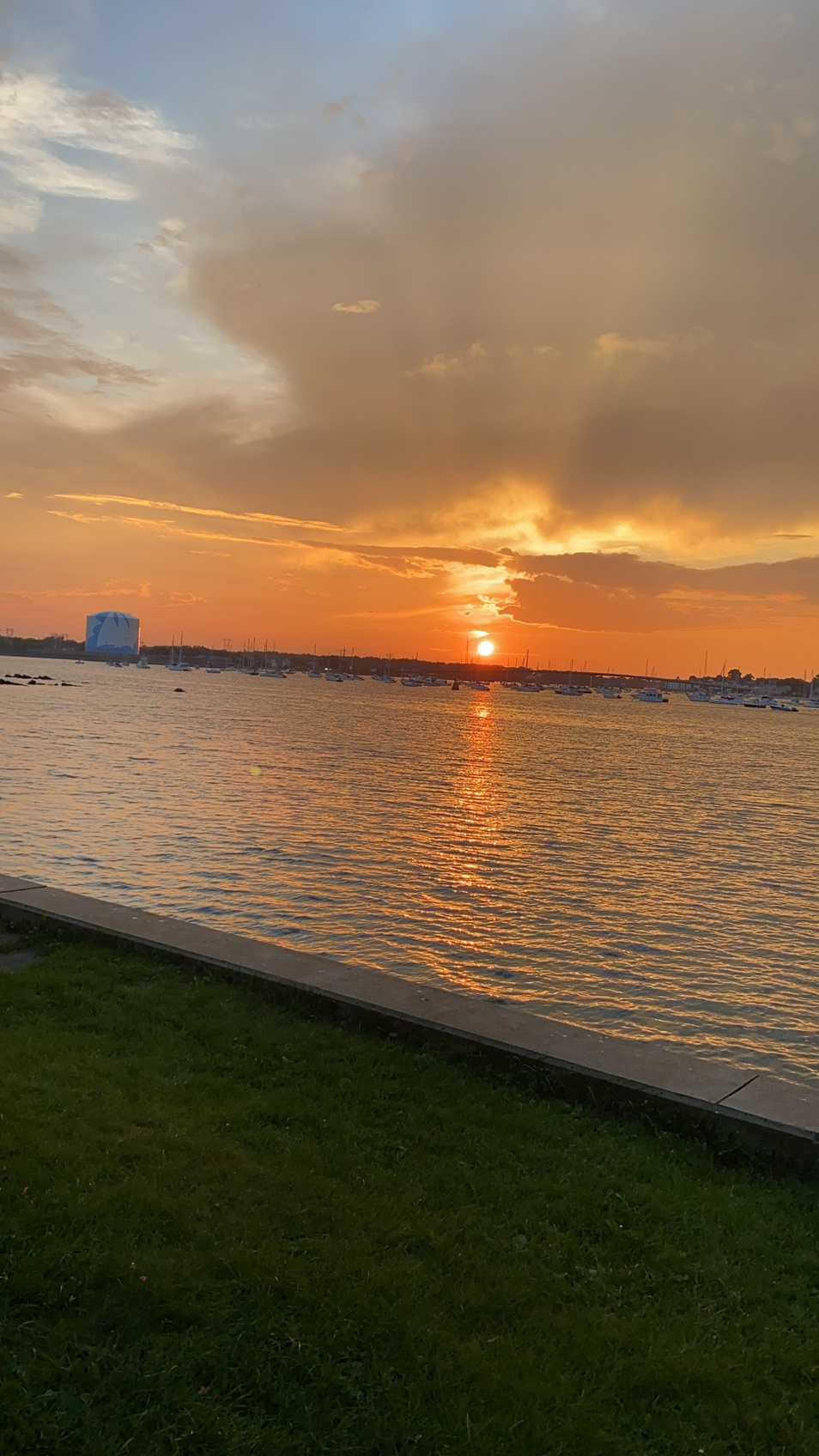 Enjoy a Two or Four Hour Captain-Led Boat Tour Adventure