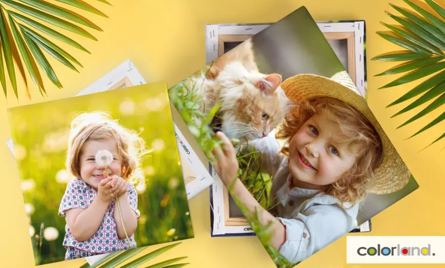 Image 1: Foto op canvas via Colorland
