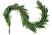 Christmas Norfolk Pine Garland Rattan Greenery Garland - Second Medium