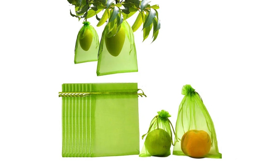 Image 1: Garden Fruit Protection Bags