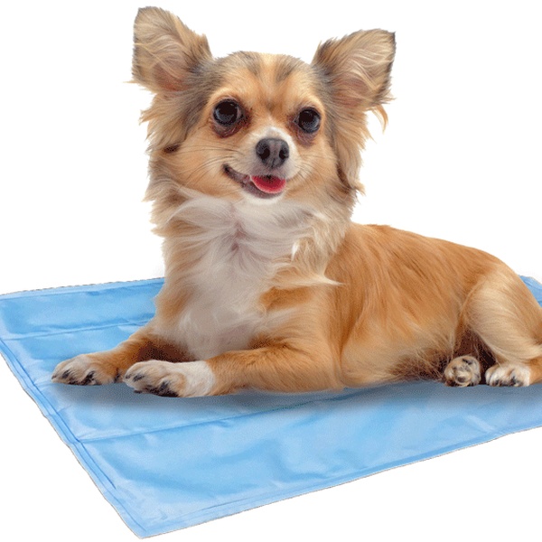 animal planet cooling mat