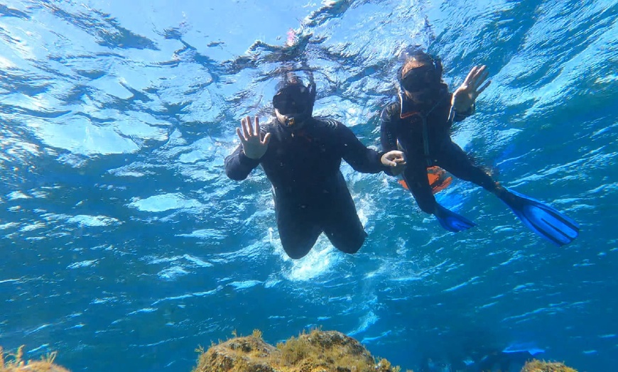 Image 6: Experiencia de snorkel con equipamiento y fotos para 1, 2 o 4 personas