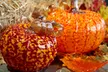 Seattle Glassblowing Studio & Gallery: Enjoy Classes for Making Bowls, Paperweights, and More! (Up to 35% Off) - Second Medium