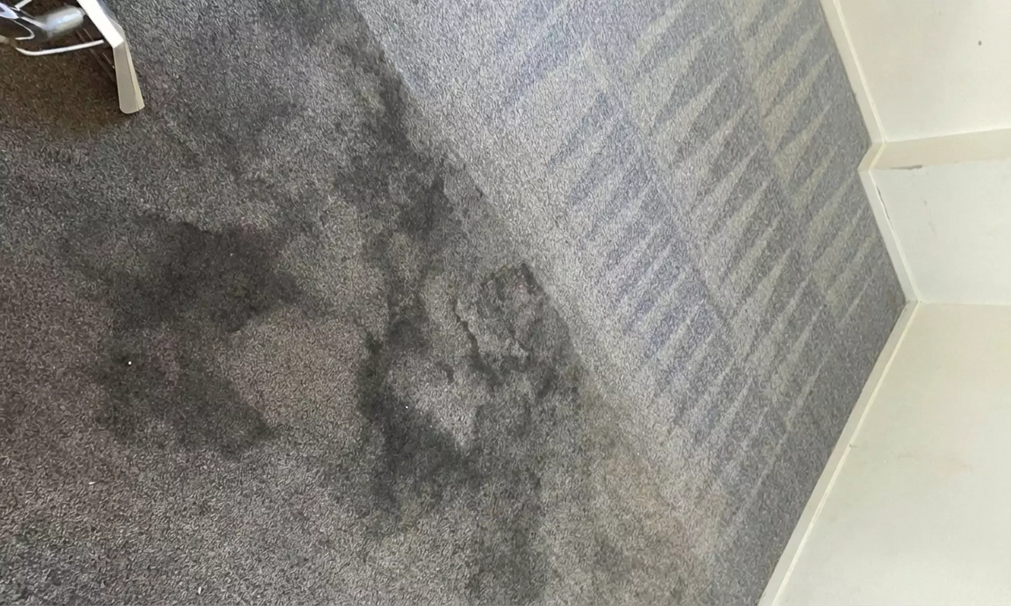 Professional Carpet Cleaning for 3, 4 or 5 Rooms Plus Area Rug Options