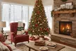 Preorder Today: 7-Foot Fresh-Cut Real Christmas Trees and Christmas Wreaths with Free Shipping - Up to 24% Off! - Second Medium