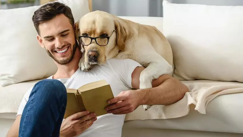 Save 85% on Animal Psychology Course by International Open Academy - Primary Image