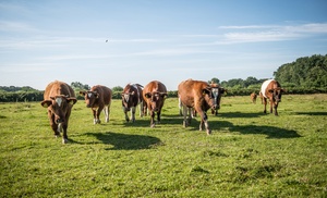 Overijssel: Sterrenkubus met ontbijt