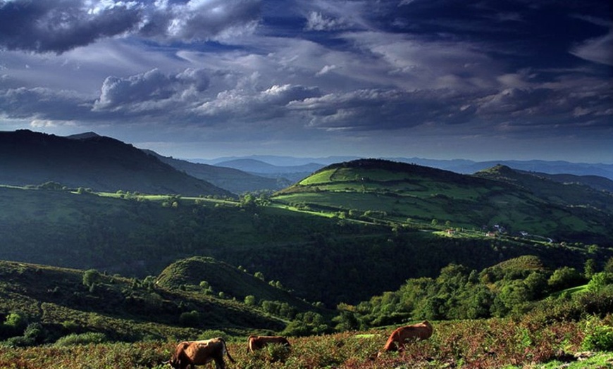 Image 11: Asturias: estancia con desayuno y detalle